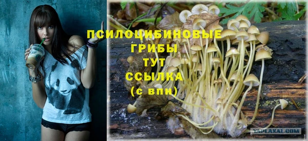 гашиш Горнозаводск