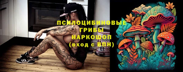 гашиш Горнозаводск