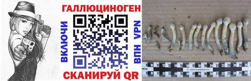 Псилоцибиновые грибы Psilocybine cubensis  магазин  наркотиков  Зарайск 